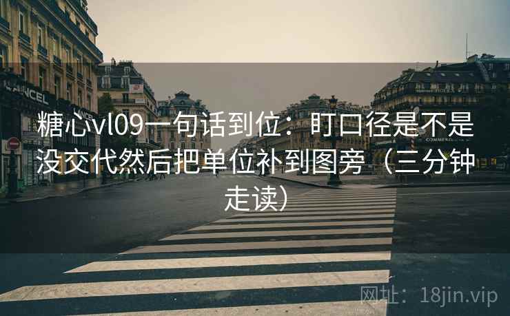 糖心vl09一句话到位：盯口径是不是没交代然后把单位补到图旁（三分钟走读）  第2张